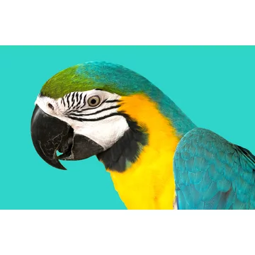 test 66